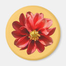 Search for red dahlia magnets Floral