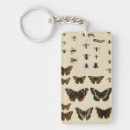 Search for butterfly rectangular key rings Background