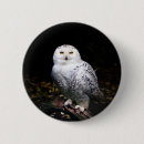 Search for owl badges Animal
