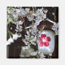 Search for sakura magnets Japanese culture
