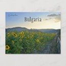 Search for yellow blossoms postcards Floral