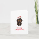 Search for sausage dog christmas cards Puppy