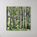 Search for eucalyptus tree posters Tropical
