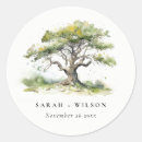 Search for oak tree stickers Watercolor