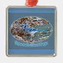 Search for blue jay christmas tree decorations Nature