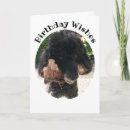 Search for happy birthday poodle white Dog