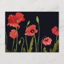 Search for red poppies postcards Elegant