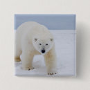 Search for threatened square badges Predator