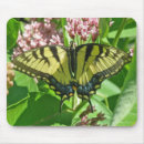 Search for mammals mouse mats Animals