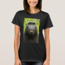 Search for cropped photography Monkey