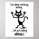 Search for funny meme posters Black cats