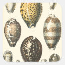 Search for square shaped stickers Ocean