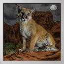 Search for puma top art Animals