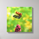 Search for ladybug canvas prints Beetle