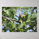 Search for squirrel picture art Tree