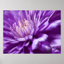 Search for artistic flora posters Floral