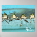Search for green frog posters Cute frogs