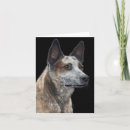 Search for acd dog cards Heeler