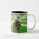 Search for barn owls mugs Birds of prey