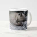 Search for baby kitten mugs Domestic animals