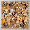 Search for andalusia posters Beach