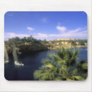 Search for nile mouse mats River
