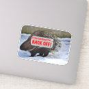 Search for tailgate Too close