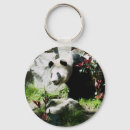Search for wildlife panda key rings Nature