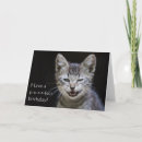 Search for felis cards Feline