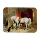 Search for 73 magnets Landseer