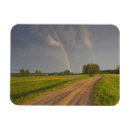 Search for magnetic fields cards Landscape