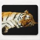 Search for amur mouse mats Orange