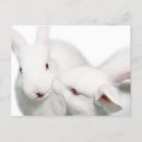 Search for i love you postcards Affection