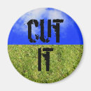 Search for cutting magnets Green