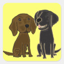 Search for flatcoat Funny