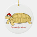 Search for reptiles christmas tree decorations Tortoise