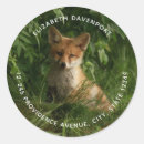 Search for cute fox stickers Woodland