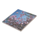 Search for cherry blossom tiles Backsplash