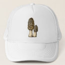 Search for morel hats Mycology