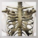Search for digitally generated image posters Medical