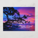 Search for bohol postcards Panglao