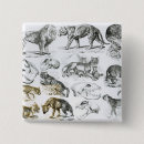 Search for carnivore badges Wild