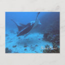 Search for dive gear postcards Travel