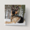 Search for german shepherd dog badges Animal