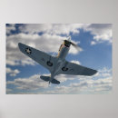 Search for p40 Aviation