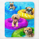 Search for swim mouse mats Funny