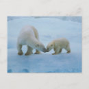 Search for behaviour postcards Young