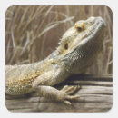 Search for bearded stickers Nature