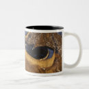 Search for sunset landscape mugs Dusk