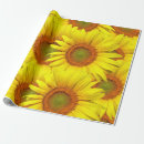 Search for country wedding wrapping paper Sunflower